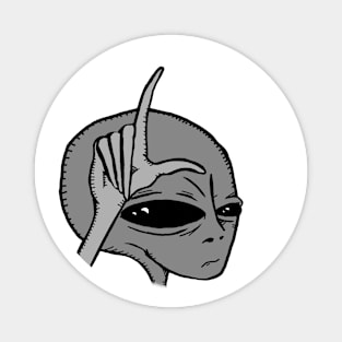 Loser Alien 3000 Magnet